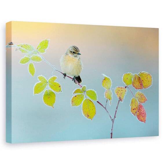 Tablou Canvas - Culori De Iarna, Marime: 60 x 90 cm - - Roveli