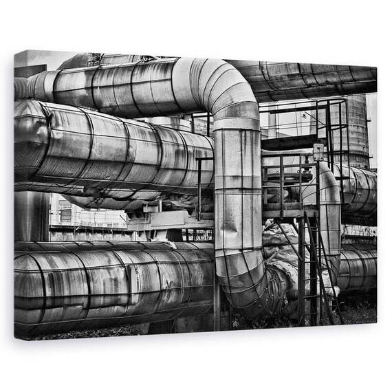 Tablou Canvas - Cuib De Vipere, Marime: 60 x 90 cm - - Roveli