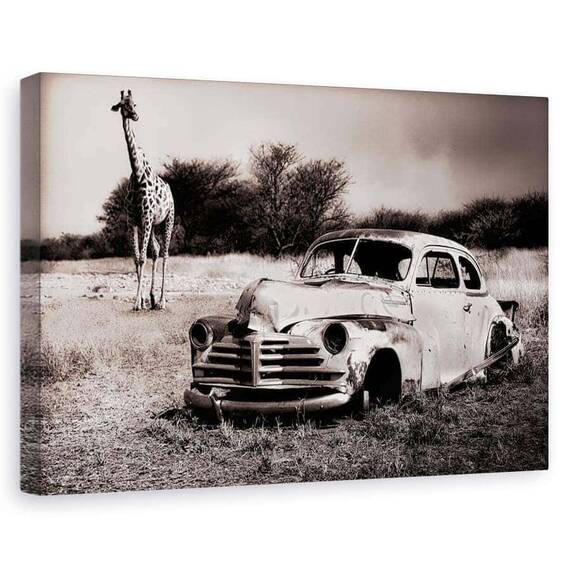 Tablou Canvas - Cunostinta, Marime: 60 x 90 cm - - Roveli