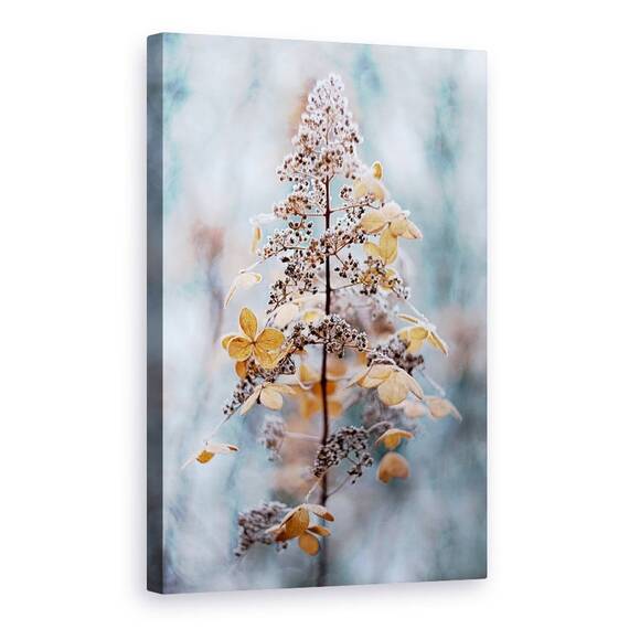 Tablou Canvas - Dantela De Iarna, Marime: 60 x 90 cm - - Roveli