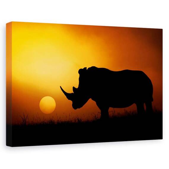 Tablou Canvas - Rasarit In Rhino, Marime: 60 x 90 cm - - Roveli
