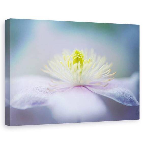 Tablou Canvas - Mayleen, Marime: 60 x 90 cm - - Roveli