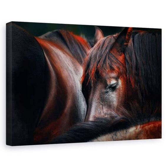Tablou Canvas - Somn Ghemuit - - Roveli
