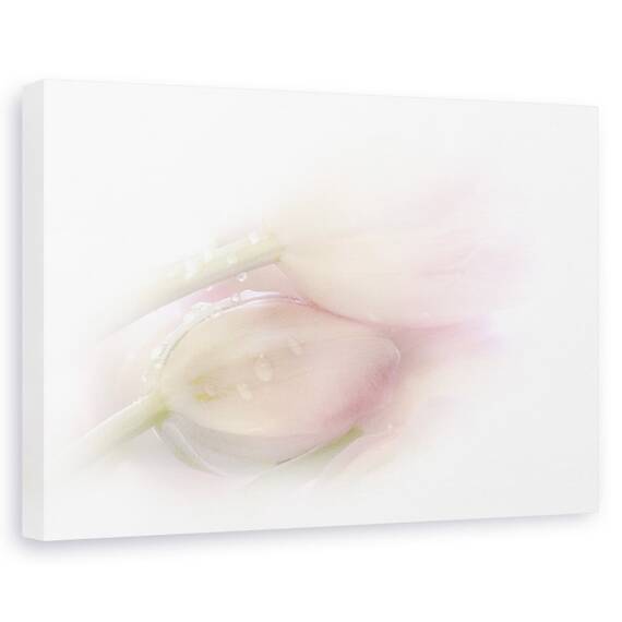 Tablou Canvas - Atingand - - Roveli