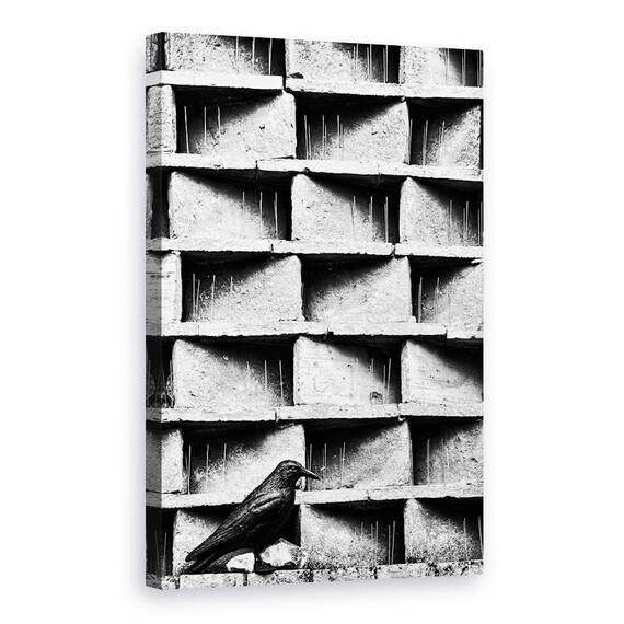 Tablou Canvas - Cioara, Marime: 60 x 90 cm - - Roveli