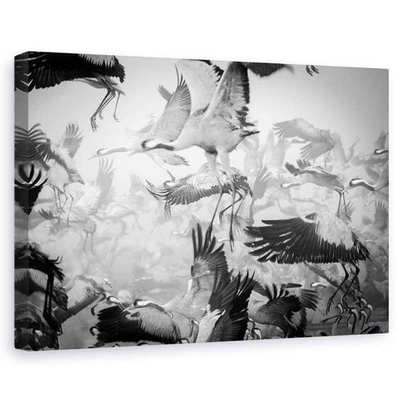 Tablou Canvas - Haos, Marime: 60 x 90 cm - - Roveli