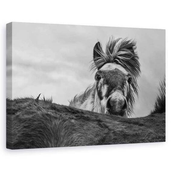Tablou Canvas - Buna, Marime: 60 x 90 cm - - Roveli