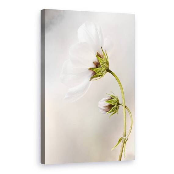 Tablou Canvas - Cosmos, Marime: 60 x 90 cm - - Roveli