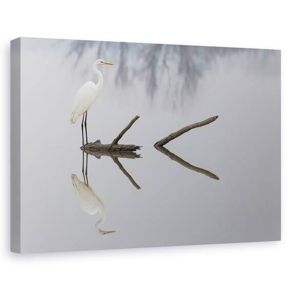 Tablou Canvas - Reflectii, Marime: 60 x 90 cm - - Roveli