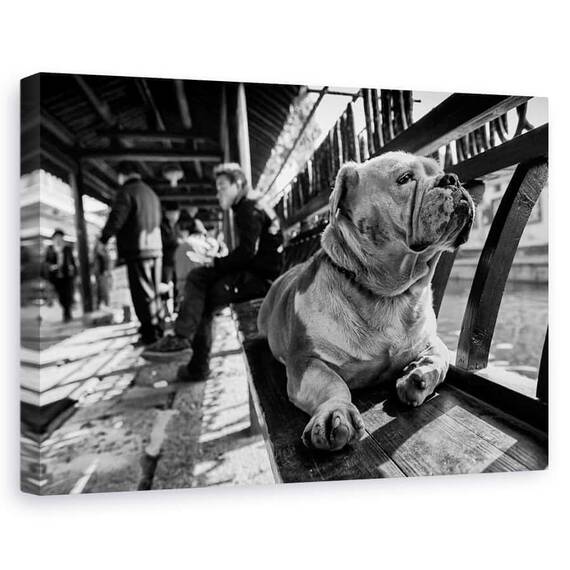Tablou Canvas - Trist, Marime: 60 x 90 cm - - Roveli