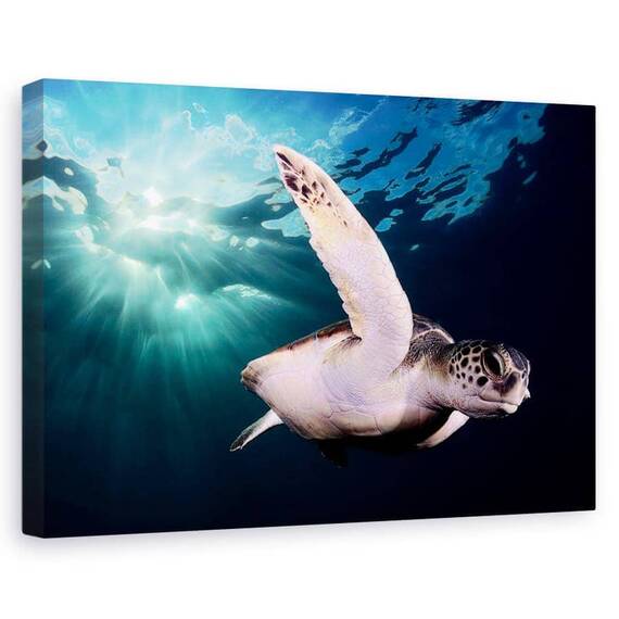 Tablou Canvas - Amiaza, Marime: 60 x 90 cm - - Roveli