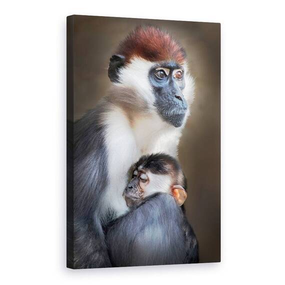 Tablou Canvas - Obosit, Marime: 60 x 90 cm - - Roveli