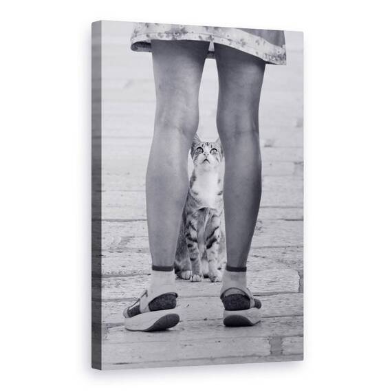Tablou Canvas - Mica Rugaciune - - Roveli