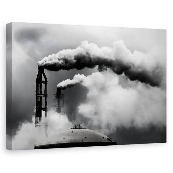 Tablou Canvas - Inspectia Zilnica, Marime: 60 x 90 cm - - Roveli