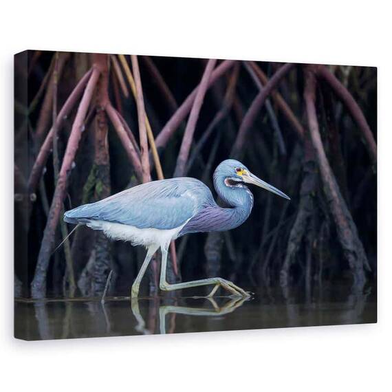 Tablou Canvas - Urmarire In Mangrove, Marime: 60 x 90 cm - - Roveli