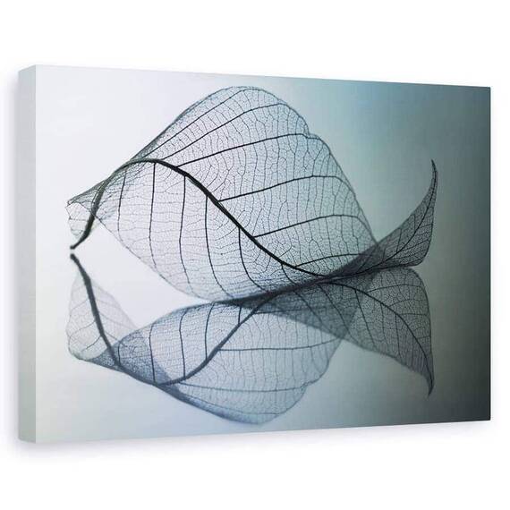 Tablou Canvas - Curvaceousness, Marime: 60 x 90 cm - - Roveli