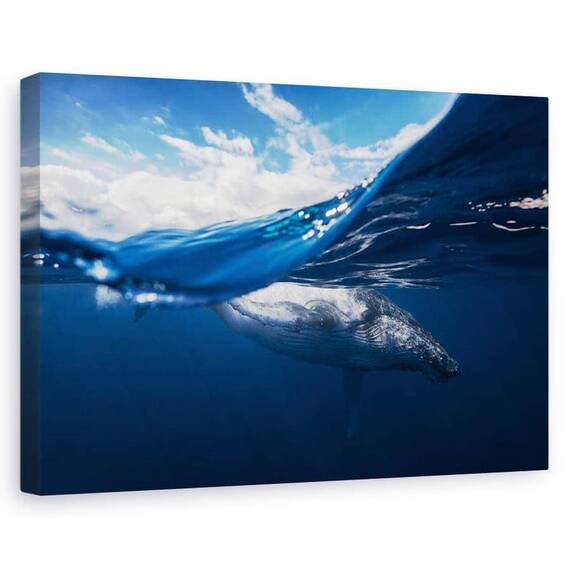Tablou Canvas - Balena Cu Cocoasa Si Cerul - - Roveli