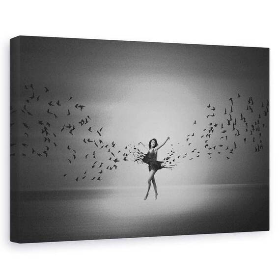 Tablou Canvas - Balerina Zboara Ca O Pasare, Marime: 60 x 90 cm - - Roveli