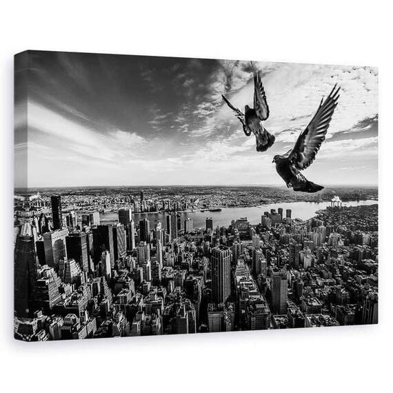Tablou Canvas - Porumbeii Pe Empire State Building, Marime: 60 x 90 cm - - Roveli