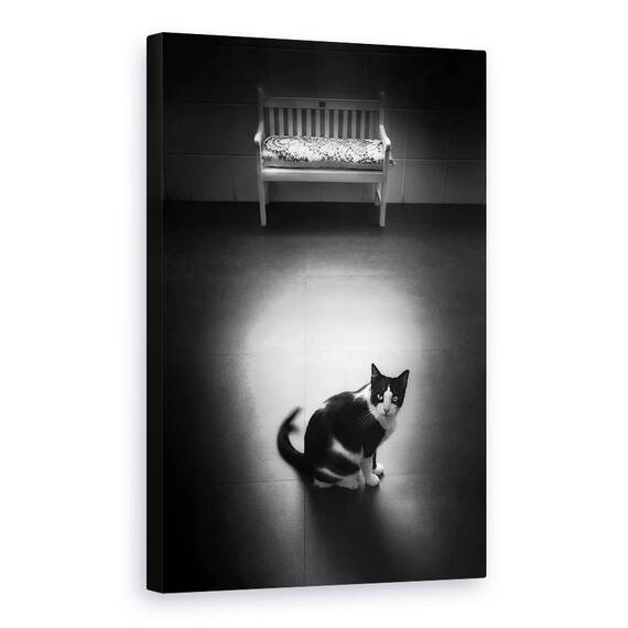 Tablou Canvas - Liniste, Marime: 60 x 90 cm - - Roveli