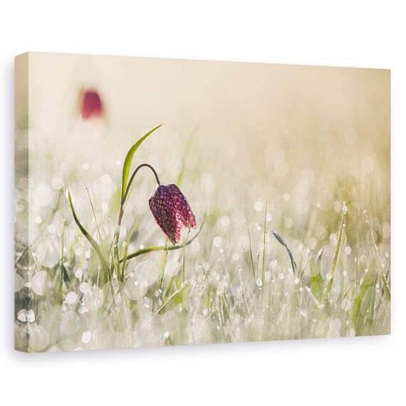 Tablou Canvas - Dimineata, Marime: 60 x 90 cm - - Roveli