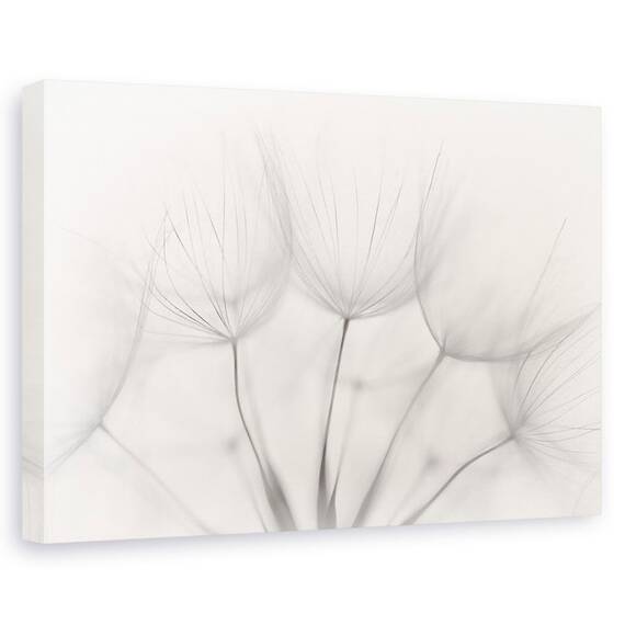 Tablou Canvas - Punct, Marime: 60 x 90 cm - - Roveli