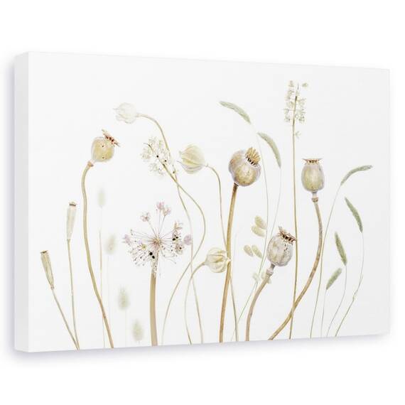 Tablou Canvas - Pods, Marime: 60 x 90 cm - - Roveli