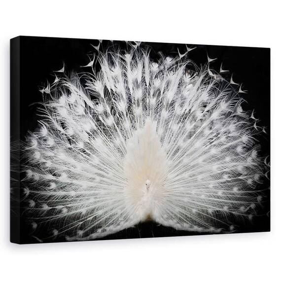 Tablou Canvas - Alb-Negru, Marime: 60 x 90 cm - - Roveli