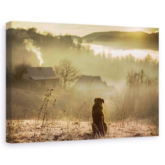 Tablou Canvas - Conexiune Buna, Marime: 60 x 90 cm - - Roveli