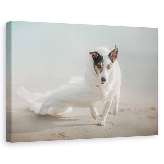Tablou Canvas - Iesind Din Furtuna, Marime: 60 x 90 cm - - Roveli