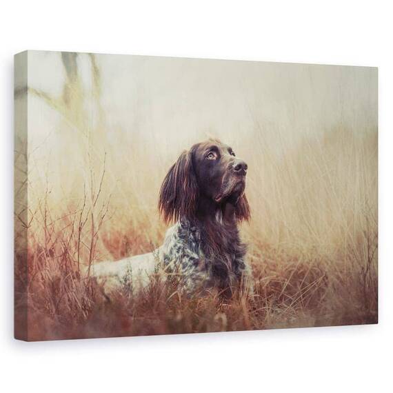 Tablou Canvas - Frumoasa Aragorn, Marime: 60 x 90 cm - - Roveli
