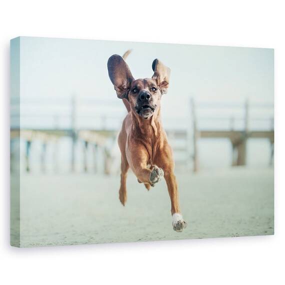 Tablou Canvas - Sus, Pana La Cer, Marime: 60 x 90 cm - - Roveli