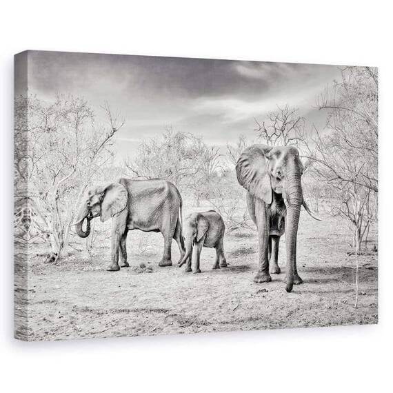 Tablou Canvas - Sezon Uscat, Marime: 60 x 90 cm - - Roveli