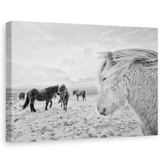 Tablou Canvas - Tipi Duri, Marime: 60 x 90 cm - - Roveli