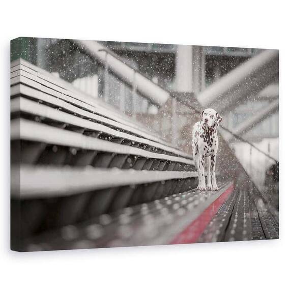 Tablou Canvas - Uneori Ninge In Aprilie, Marime: 60 x 90 cm - - Roveli