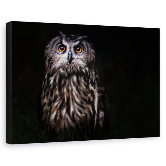 Tablou Canvas - Printul Noptii - - Roveli