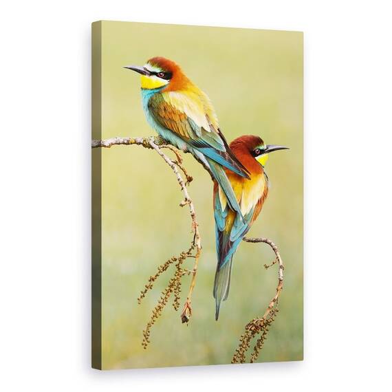 Tablou Canvas - Mancatorii De Albine Indragostiti - - Roveli