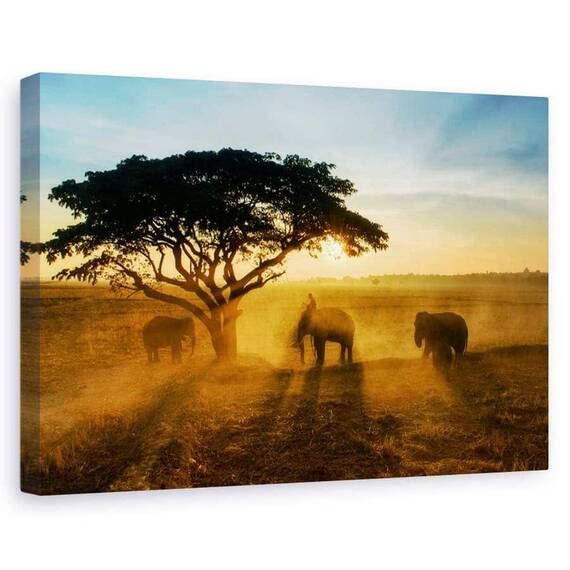 Tablou Canvas - Orasul Matinal Al Elefantilor, Marime: 60 x 90 cm - - Roveli