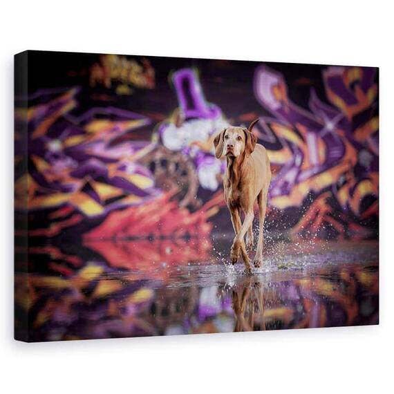 Tablou Canvas - Dansator In Intuneric, Marime: 60 x 90 cm - - Roveli