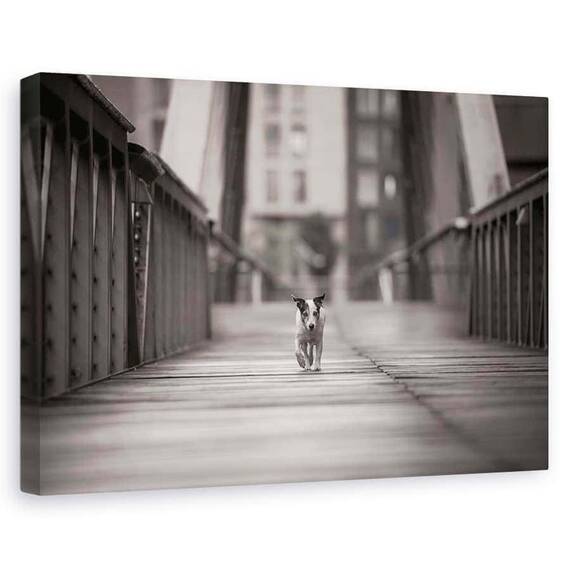 Tablou Canvas - Poti Merge Pe Drumul Tau, Marime: 60 x 90 cm - - Roveli
