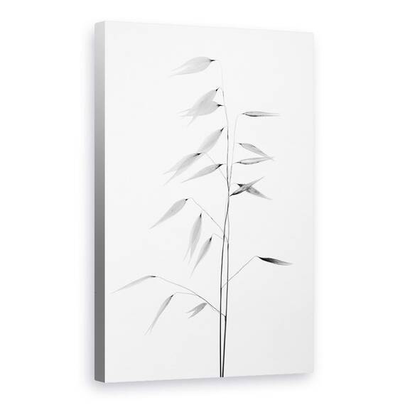 Tablou Canvas - Claritatea Naturii, Marime: 60 x 90 cm - - Roveli