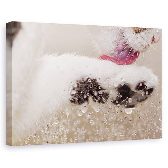 Tablou Canvas - Curatenie - - Roveli