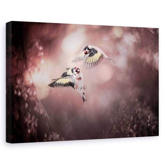 Tablou Canvas - Stiglitz, Marime: 60 x 90 cm - - Roveli