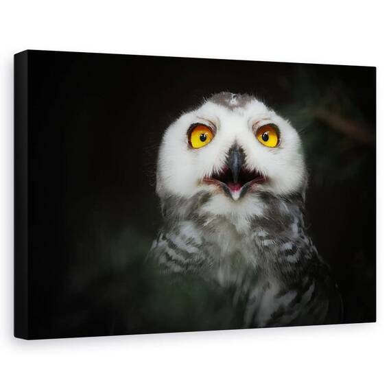 Tablou Canvas - Stele Galbene, Marime: 60 x 90 cm - - Roveli