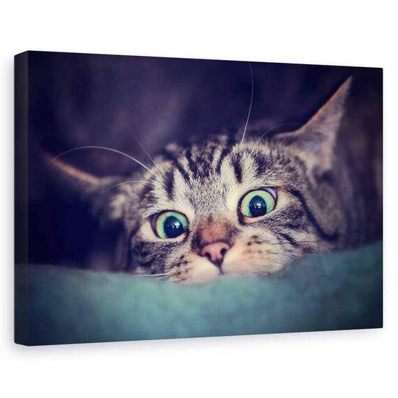 Tablou Canvas - Vanator, Marime: 60 x 90 cm - - Roveli