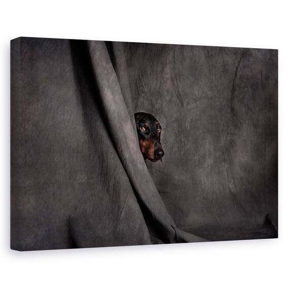 Tablou Canvas - Ca Un Hot In Noapte, Marime: 60 x 90 cm - - Roveli