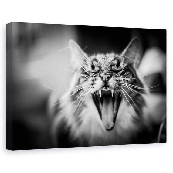 Tablou Canvas - Asculta Miorlaitul Meu, Marime: 60 x 90 cm - - Roveli