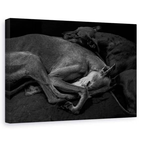 Tablou Canvas - Doua, Marime: 60 x 90 cm - - Roveli