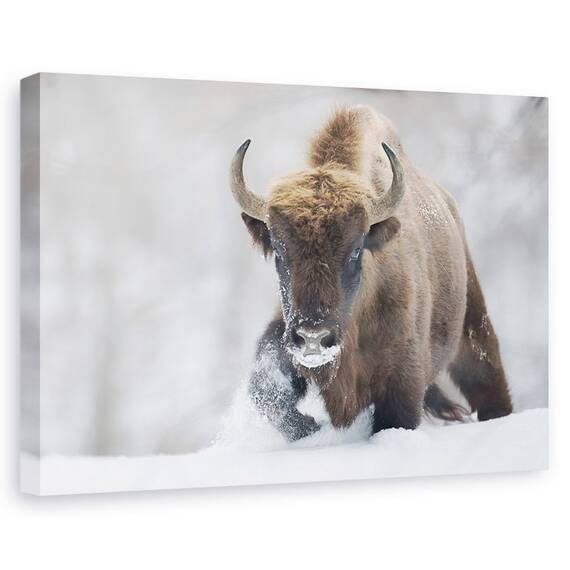 Tablou Canvas - Rewilded, Marime: 60 x 90 cm - - Roveli