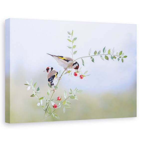 Tablou Canvas - Interogatoriu - - Roveli